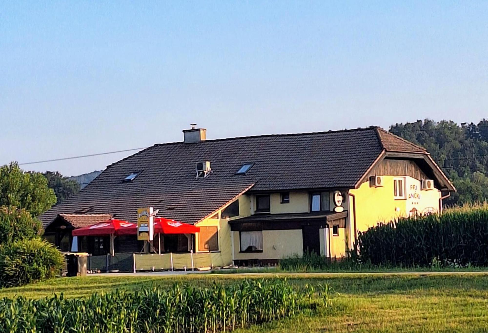 Pri Ancki B&B Ljubljana Suburbs メドヴォデ エクステリア 写真